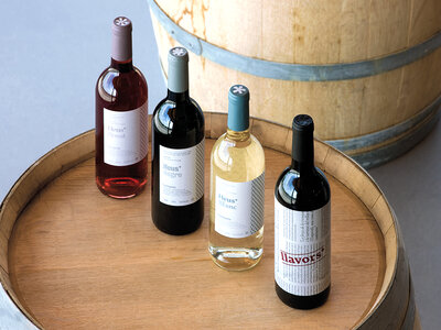 Caja regalo Sabores del Empordà: cesta gourmet a domicilio de Bodega *lavinyeta