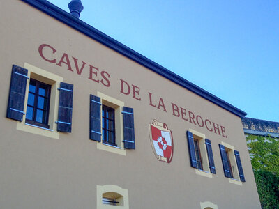 Coffret Promenade dans le vignoble neuchâtelois et dégustation de vins aux caves de Béroche