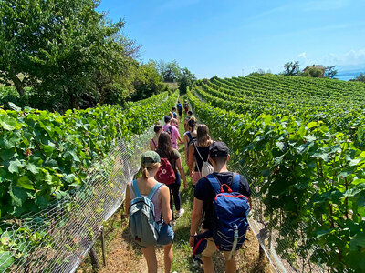 Coffret Randonnée œnotouristique de 4h à Neuchâtel avec dégustation et visite de caves pour 4