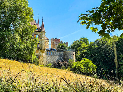 Geschenkbox Weintour in Neuchâtel mit Degustation und Kellerbesuch für 4 Personen