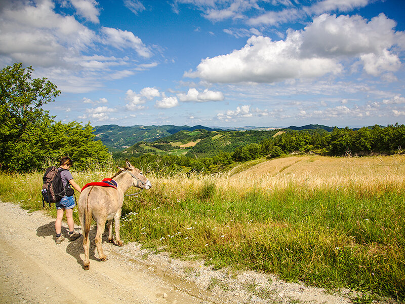 Al cuore dell'Appennino Romagnolo: passeggiata con asinelli e degustazione di prodotti tipici per 2