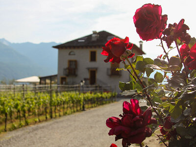 Cofanetto regalo Soggiorno di 1 notte nei vigneti del Canton Ticino con colazione e drink di benvenuto