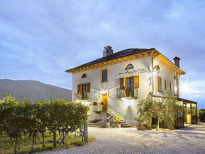 Cofanetto Sapori del Canton Ticino: 1 menù di 3 portate presso l’Agriturismo La Fattoria L’Amorosa