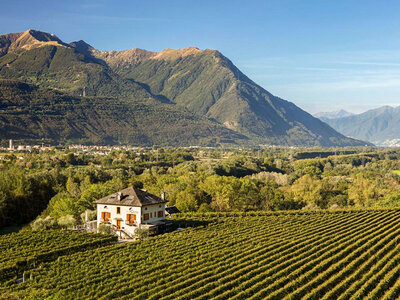 Cofanetto Soggiorno di 2 notti in agriturismo 3* nel cuore dei vigneti del Canton Ticino