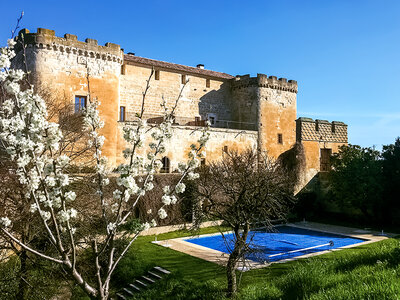 Caja regalo 1 noche con desayuno en Posada Real Castillo del Buen Amor 5*