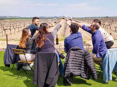 Caja Inmersión enológica: visita guiada y cata en Concejo Bodegas