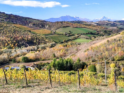 Tra gli uliveti d’Abruzzo: 1 notte in un Lodge di legno con colazione a km zero