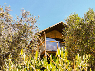 Cofanetto Insieme tra antichi uliveti e natura: 2 magiche notti in Lodge One con colazione in Abruzzo