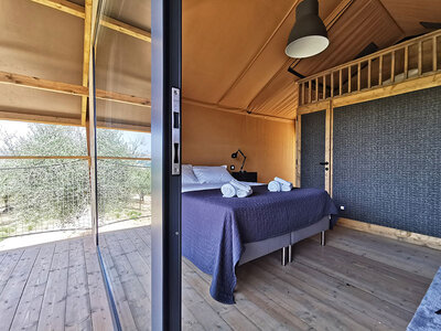 Cofanetto regalo 1 notte di Glamping in un suggestivo uliveto abruzzese