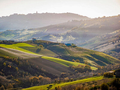 1 notte di Glamping in un suggestivo uliveto abruzzese