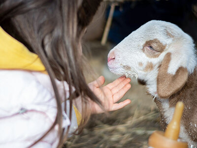 Cofanetto regalo Abruzzo in Glamping: 1 notte con colazione e degustazione di vini e prodotti a km zero