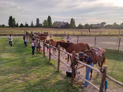 In sella nel verde di Viterbo: una passeggiata di un’ora a cavallo per 2