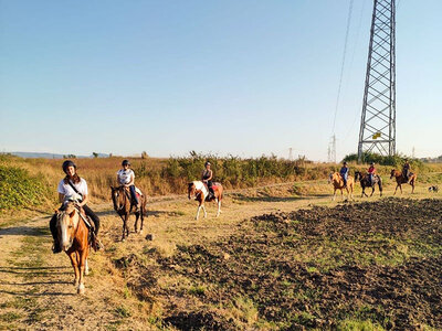 Cofanetto regalo In sella nel verde di Viterbo: una passeggiata di un’ora a cavallo per 2