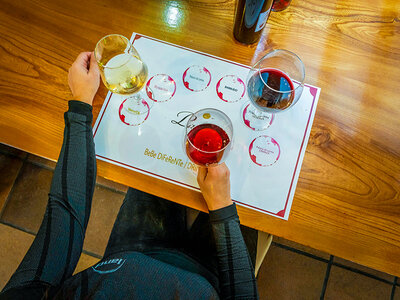 Bodegas Palacio de Lerma: visita a los viñedos y bodega con cata