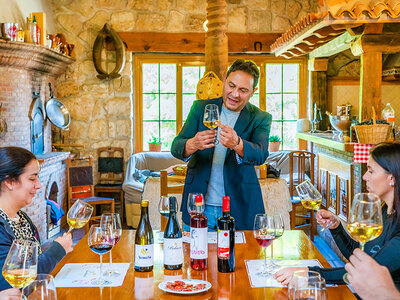 Caja regalo Bodegas Palacio de Lerma: visita a los viñedos y bodega con cata
