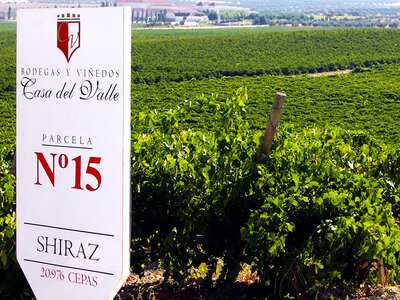 Caja Visita guiada y cata en Yepes en Bodegas y Viñedos Casa del Valle