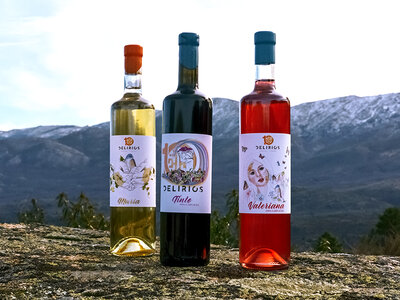 Visita guiada y cata con maridaje en 10 Delirios Bodegas y viñedos