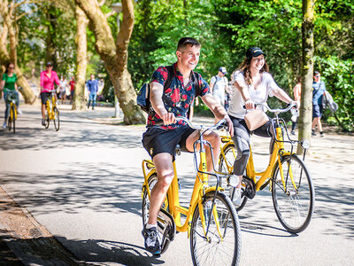 Coffret Journée à vélo et visite en bateau à Amsterdam pour 1 personne