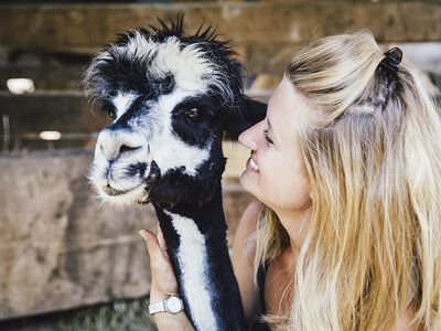 Cofanetto regalo Passeggiata con gli alpaca nella Val di Cembra e degustazione enologica