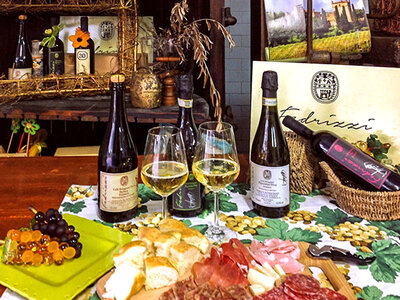 Degustazione di vino in Emilia Romagna con visita alle cantine