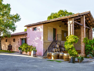 Cofanetto Degustazione di vino in Emilia Romagna con visita alle cantine