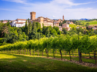 Cofanetto regalo Degustazione di vino in Emilia Romagna con visita alle cantine