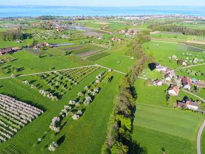 Vol privé en montgolfière d'1h30 dans le pays d'Appenzell pour 5 personnes