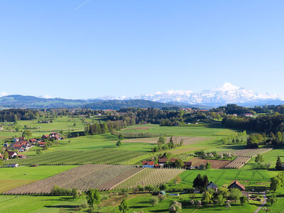 Coffret Vol privé en montgolfière d'1h30 dans l'Oberland zurichois pour 5 personnes