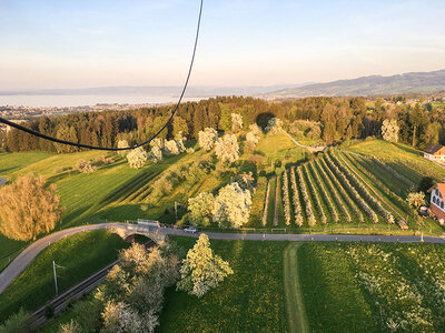 Vol privé en montgolfière d'1h30 dans le canton de Thurgovie pour 5 personnes