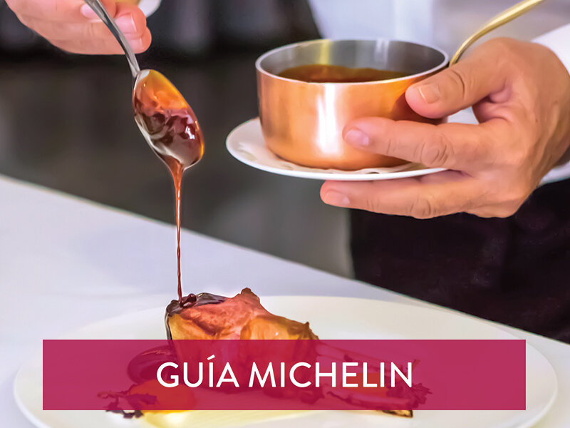Menú degustación en Segovia en Restaurante Villena, Guía MICHELIN