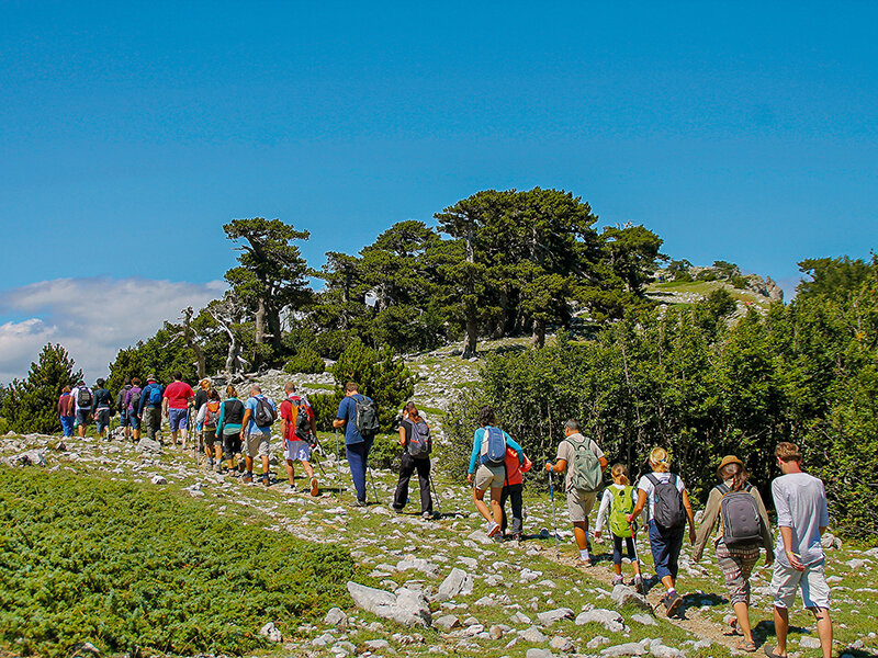 Trekking romantico nel Parco Nazionale del Pollino