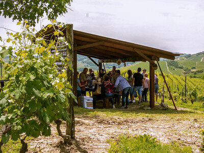 Degustazione e visita alle cantine con 2 bottiglie omaggio