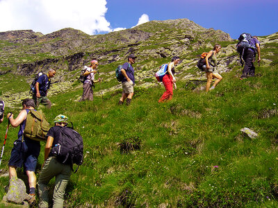 Passione trekking: 1 percorso del tour Monte Rosa con guida naturalistica per 2 persone