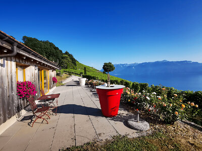 Cours d’œnologie et dégustation de 6 vins pour 2 dans un domaine classé par l'Unesco à Épesses