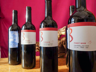 Cofanetto Magia tra i vigneti di Sion: romantica degustazione di vini con tour della vigna