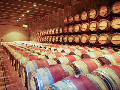 Caja regalo Celler Mas Llunes: visita al viñedo y bodega con cata y obsequio para 2