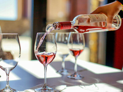 Caja Celler Mas Llunes: visita al viñedo y bodega con cata y obsequio para 2