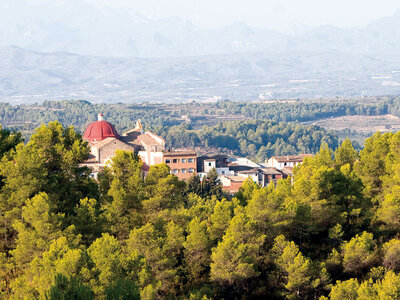 Caja Experiencia enoturística en Catalunya: 1 visita a bodega y cata