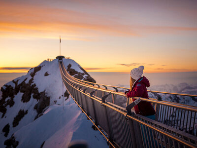 Coffret cadeau 2 tickets pour le téléphérique pour une aventure en duo au Glacier 3000 en Suisse