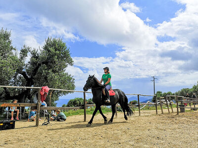 Cofanetto Natura e divertimento a Pietra Ligure: 1 lezione di equitazione di 1h e merenda per 2 persone