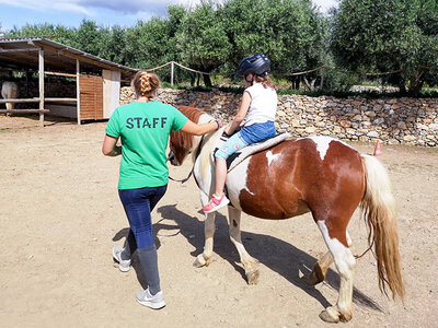 Cofanetto regalo Natura e divertimento a Pietra Ligure: 1 lezione di equitazione di 1h e merenda per 2 persone