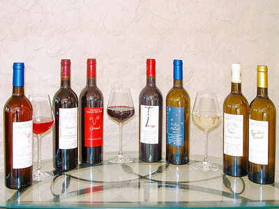 Séjour œnologique : 3 jours au vert près de Perpignan