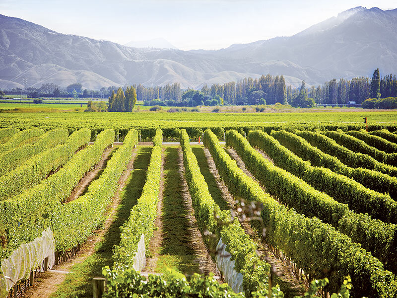 Caja Regalo > Gastronomía