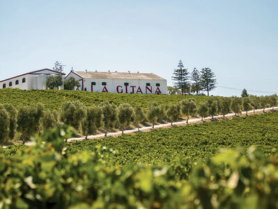 Caja regalo La Alcoba del Agua hotel boutique: 1 noche con visita a bodega y cata