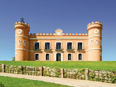 Caja regalo Enología y descanso: 1 noche y visita a la bodega en Monte La Reina