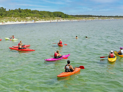 Presentbox Sälsafari i Falsterbobukten för 1 person
