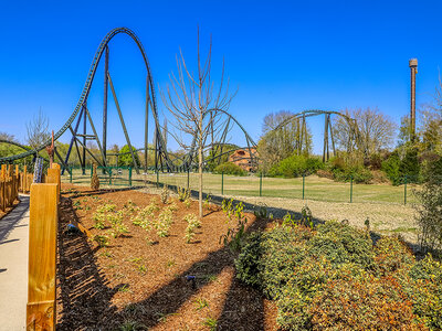 Cadeaubon Dagje Walibi Belgium voor 1 volwassene