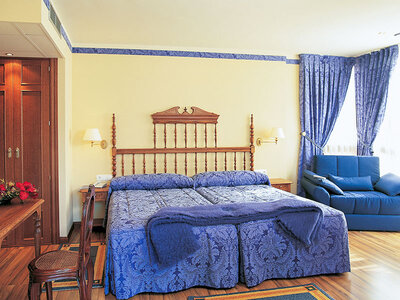 Relax con buen vino: 1 noche con desayuno, cata y visita a bodega D.O.