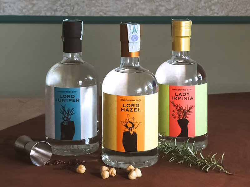 Collezione di degustazioni di gin 6 tubi di gin in una splendida confezione  regalo