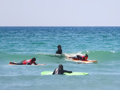 Surf en famille : leçon d'1h30 pour 2 adultes et 2 enfants dans la baie d'Audierne